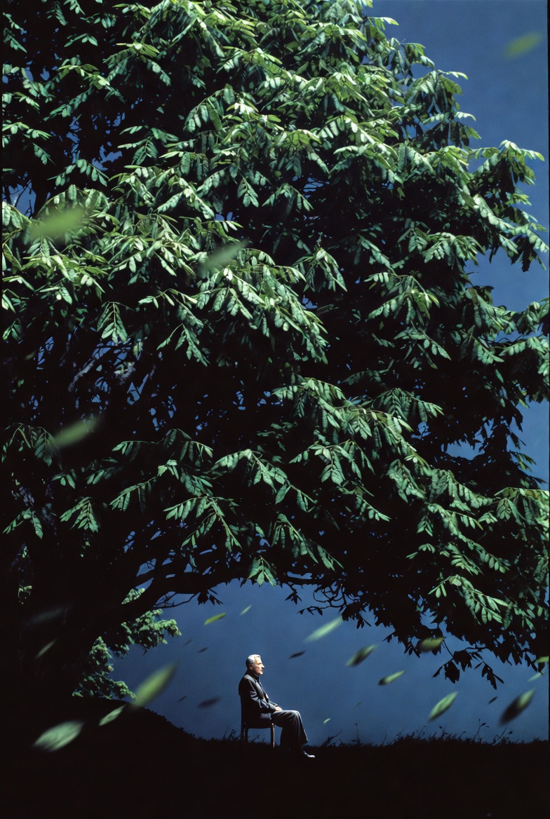 A man contemplating under a great tree